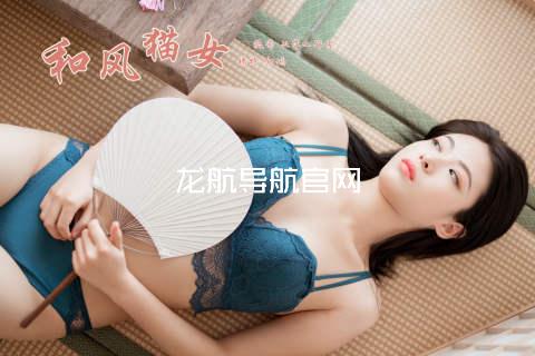 龙航导航官网